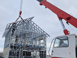 case schelet metalic Wolf Construct
