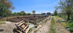 Reinforcement and Foundation Beams for a 130 sqm Single-Story House in Ilfov, Snagov thumbnail