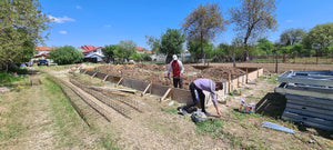 Reinforcement and Foundation Beams for a 130 sqm Single-Story House in Ilfov, Snagov thumbnail