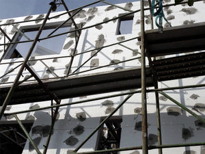 Model House in the Insulation Stage thumbnail