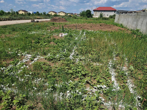 House Construction in Ilfov, Foundation Layout and Excavation thumbnail