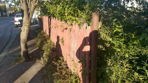Construction of a Concrete and Wood Fence GA02 in Otopeni thumbnail