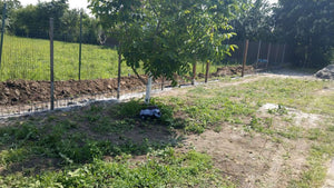 Construction of GA06 Model Fence Foundation Soleplate thumbnail