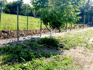 Construction of GA06 Model Fence Foundation Soleplate thumbnail