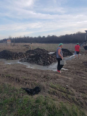 Excavation and Pouring of Mortar Concrete for a Domnesti House Project thumbnail