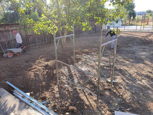 Courtyard Leveling with Forest Earth Fill and Lawn Planting thumbnail