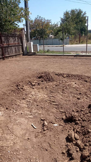 Courtyard Leveling with Forest Earth Fill and Lawn Planting thumbnail