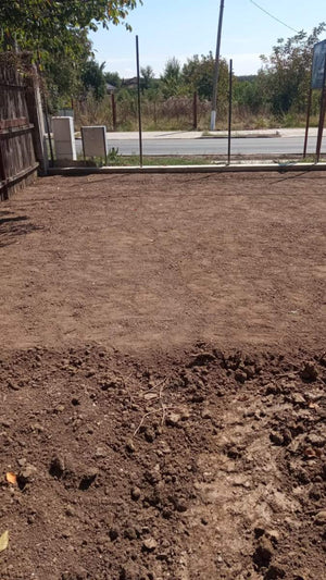 Courtyard Leveling with Forest Earth Fill and Lawn Planting thumbnail