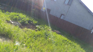 Construction of a Commercial Space Foundation Light Metal Structure Project thumbnail