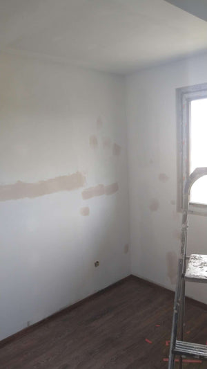 Plastering of Walls, Ceilings, and Primer Layer with Vinarom for a House Project thumbnail