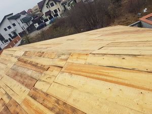 Installation of Roof Structure and Application of Thermal Insulation for Mogosoaia House Project thumbnail