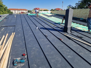 Installation of Fiber Cement Wall Cladding and Roof Construction for a House in Snagov thumbnail