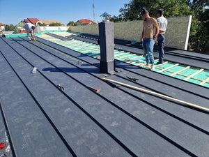 Installation of Fiber Cement Wall Cladding and Roof Construction for a House in Snagov thumbnail
