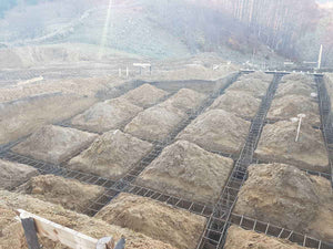 Beam Placement in Excavation for a 620 sqm Restaurant Project in Brasov County thumbnail