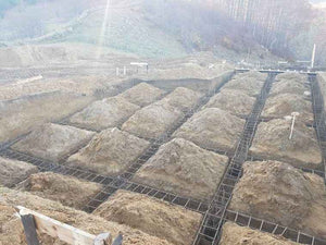 Beam Placement in Excavation for a 620 sqm Restaurant Project in Brasov County thumbnail