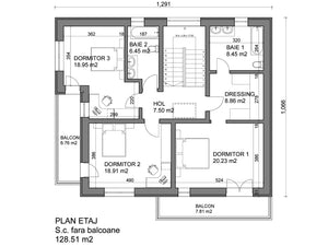 293 sqm Two-Story House Model Designed in Ilfov County thumbnail