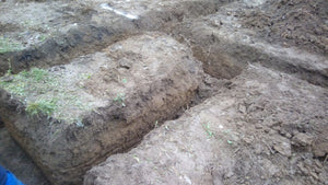 162 sqm Snagov House Project, Foundation Layout and Excavation thumbnail