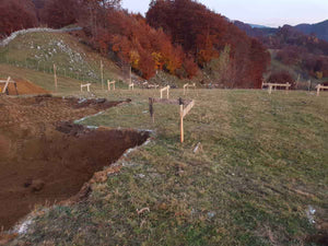 Mechanized Excavation for a Restaurant Foundation, 620 sqm Project in Brasov thumbnail