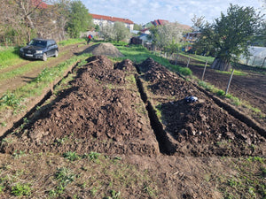 Mechanized Excavation and Pouring of the Foundation Footing for a 130 sqm House in Ilfov, Snagov thumbnail