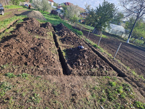 Mechanized Excavation and Pouring of the Foundation Footing for a 130 sqm House in Ilfov, Snagov thumbnail
