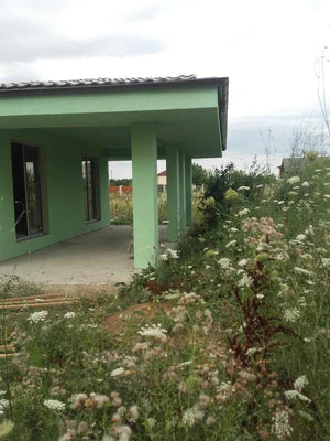 House Project with Application of Siliconized Decorative Plaster thumbnail