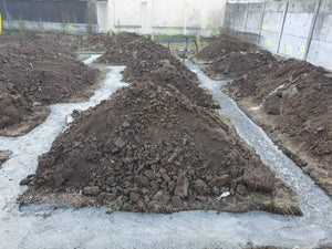 Layout of Construction Axes, Excavation, and Foundation Base Pouring for a 198 sqm House thumbnail