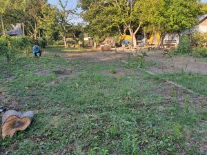Layout and Mechanized Excavation for an 84 sqm Single-Story House Foundation in Ialomita thumbnail